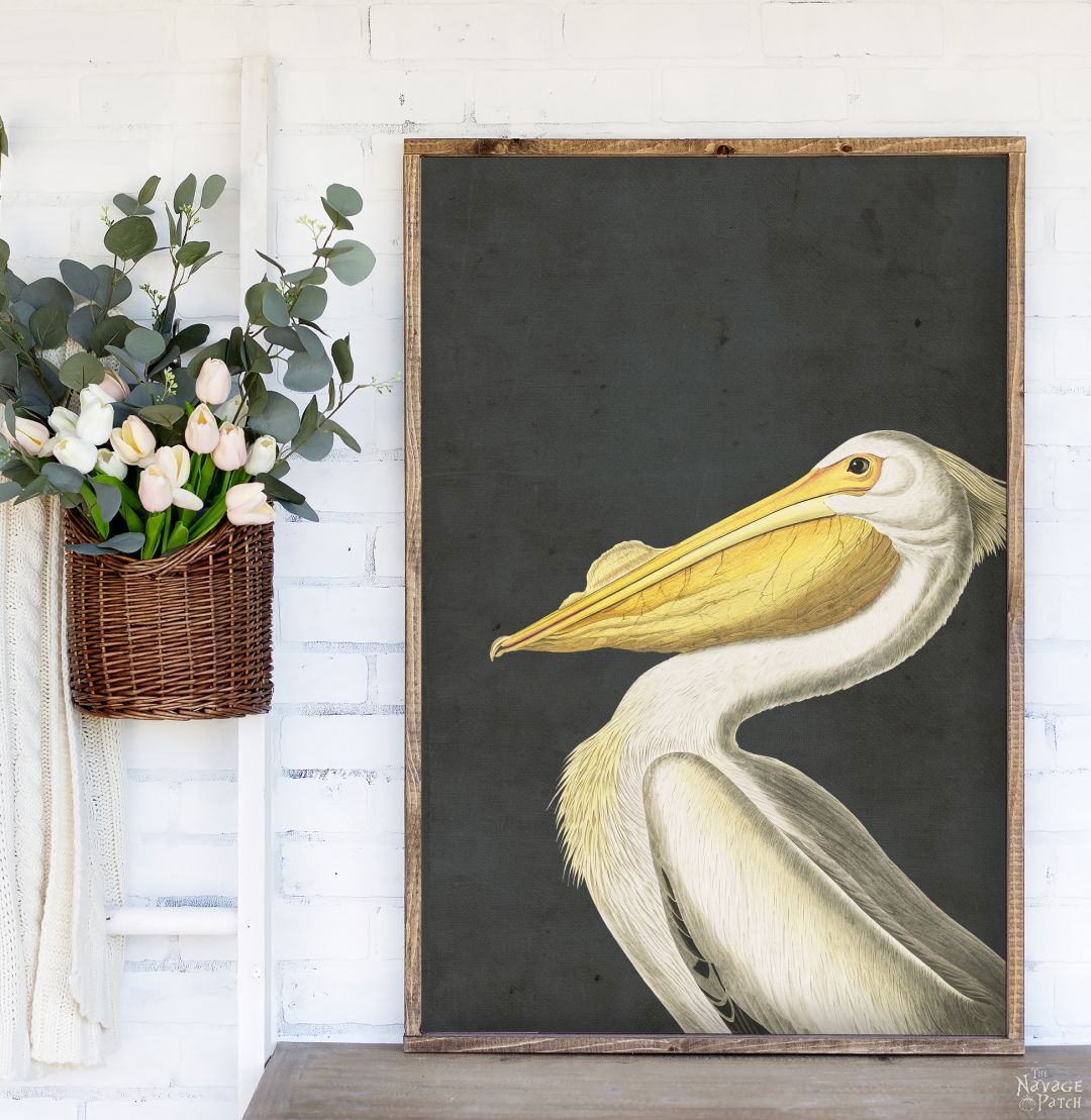Free Vintage Shorebird Printables - TheNavagePatch.com