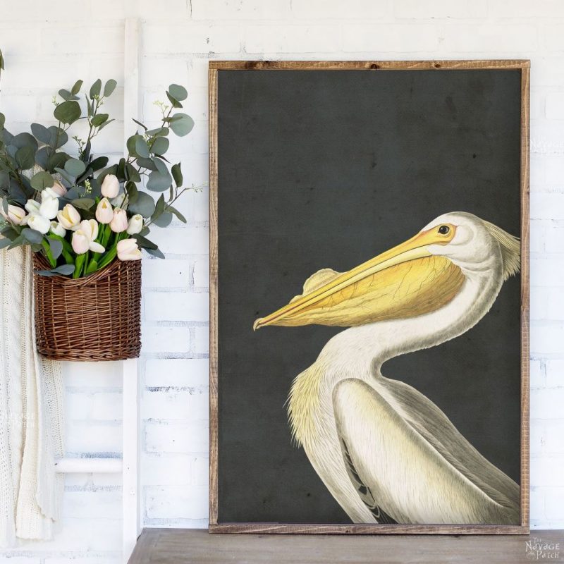 Free Vintage Shorebird Printables - TheNavagePatch.com