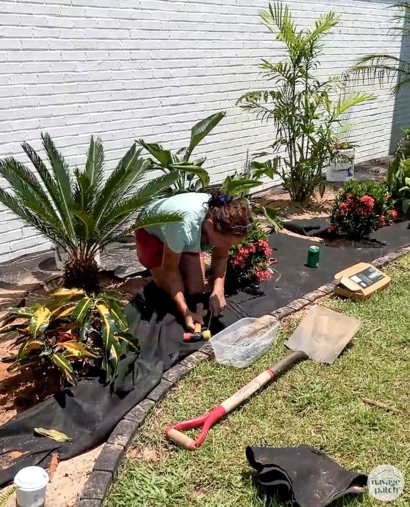 woman planting