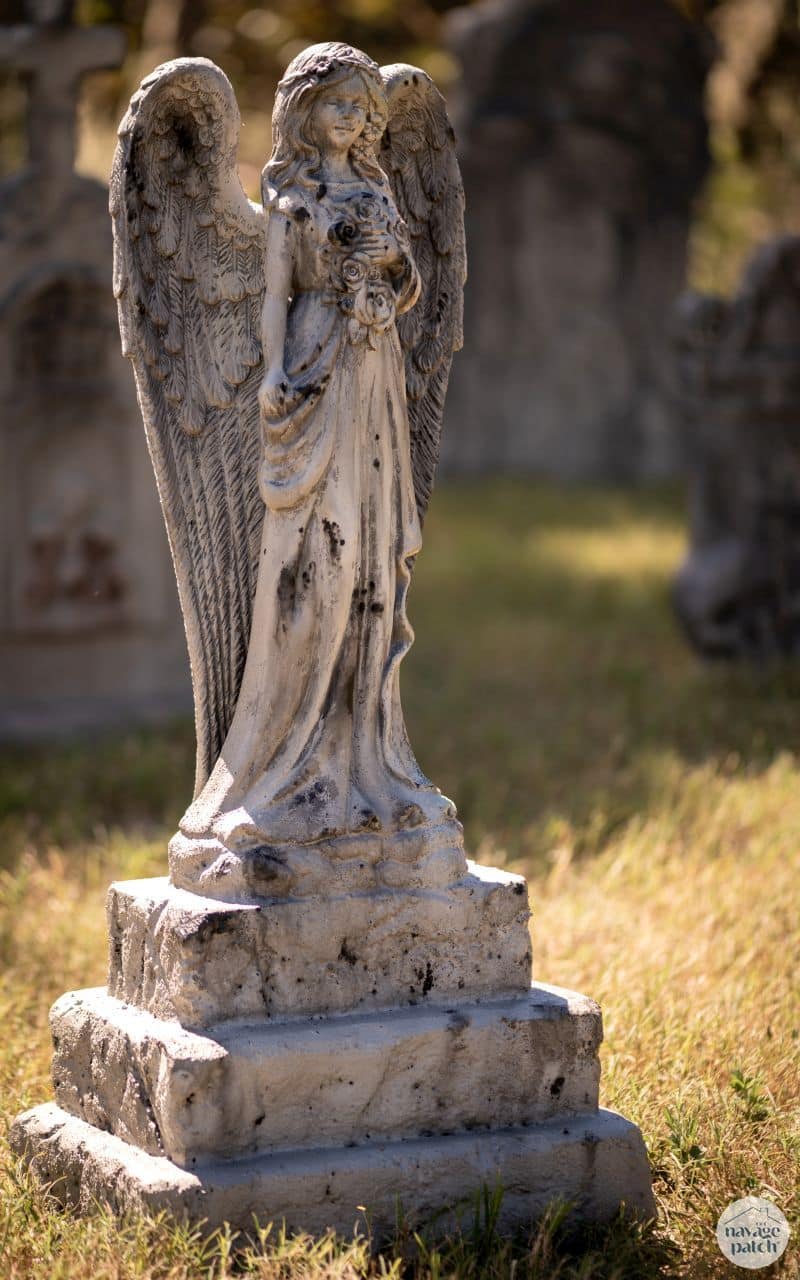 DIY Halloween Graveyard by TheNavagePatch.com