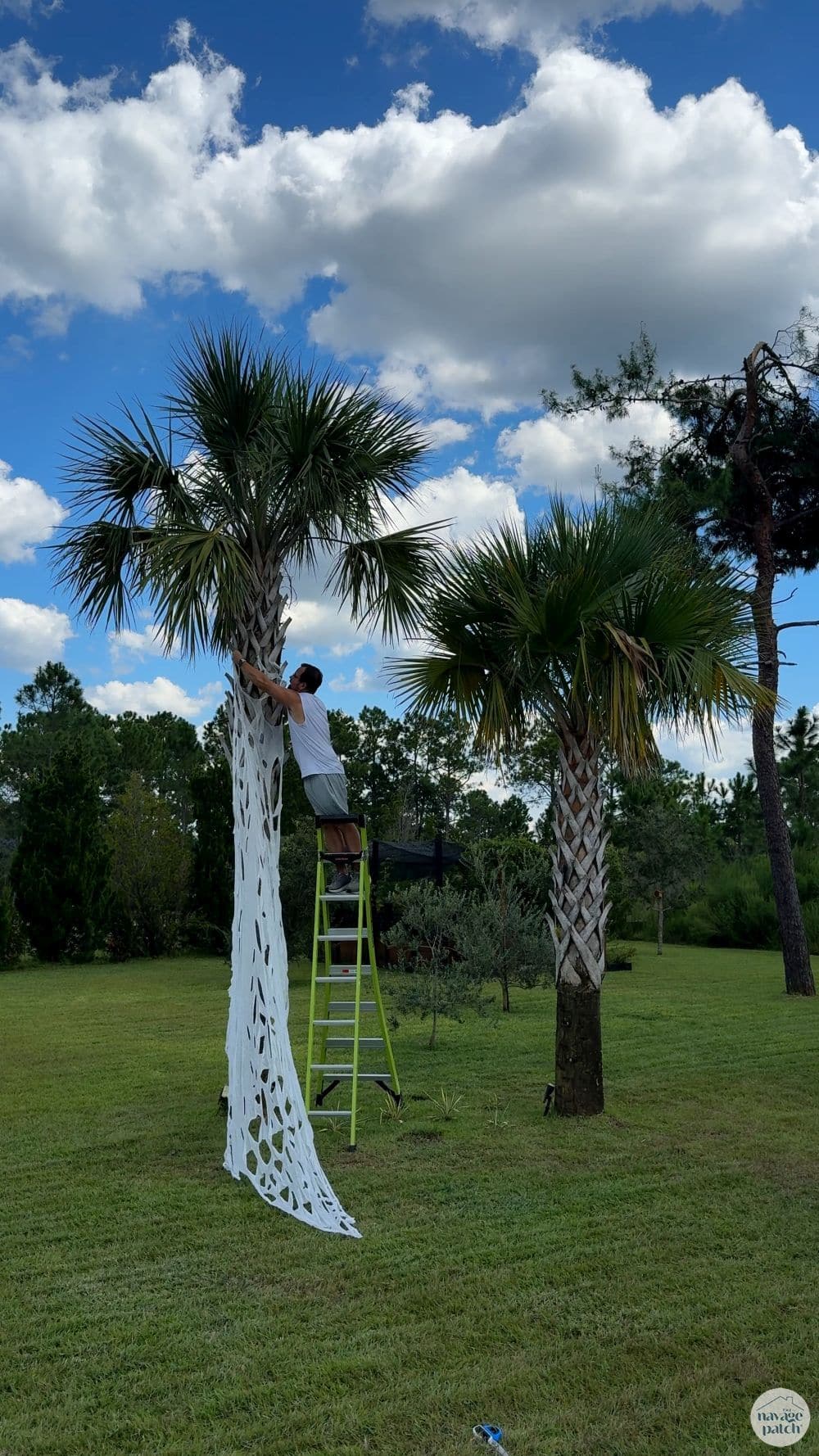 man hanging a beef net spider web