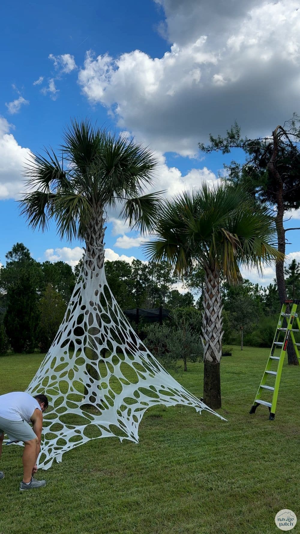 man making giant spider webs