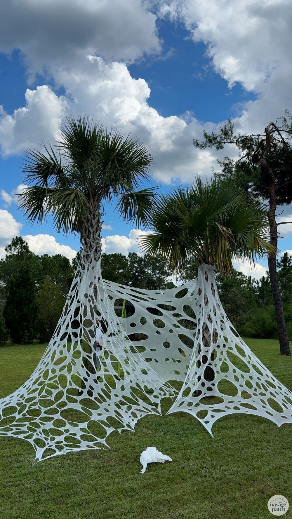 man making giant spider webs