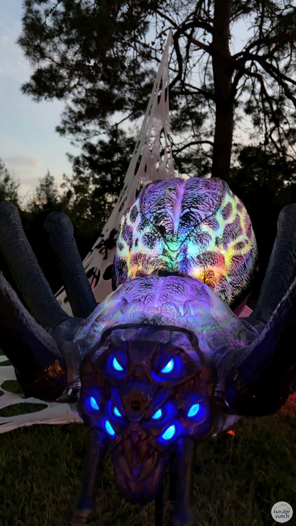 Easy DIY Outdoor Big Impact Halloween Spider Webs by TheNavagePatch.com